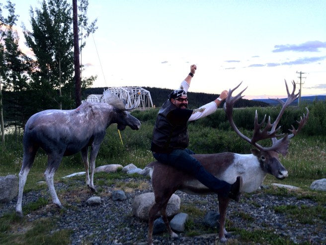 I guess Albertans, or this one, have this thing about wildlife....